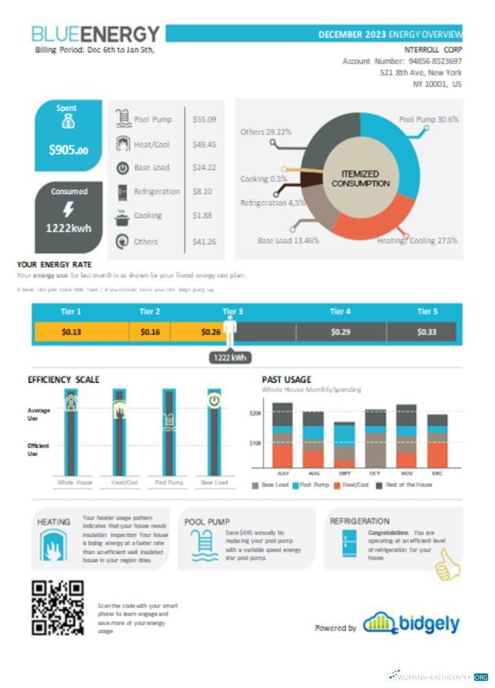 Download Blue Energy utility business bill, SCR Photoshop template